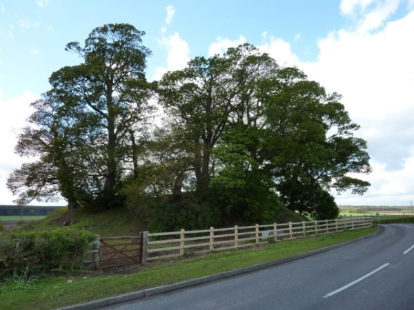Castle mound, Bothamsall, Sherwood Forest