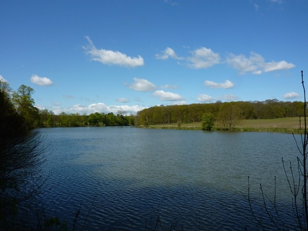 Carburton Forge Lake, Sherwood Forest