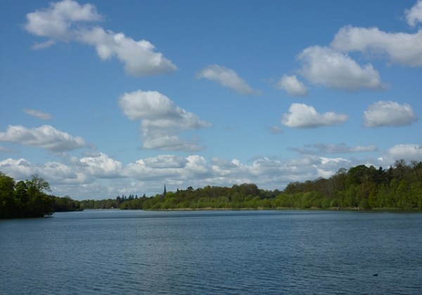 The lake, Clumber Park, Sherwood Forest