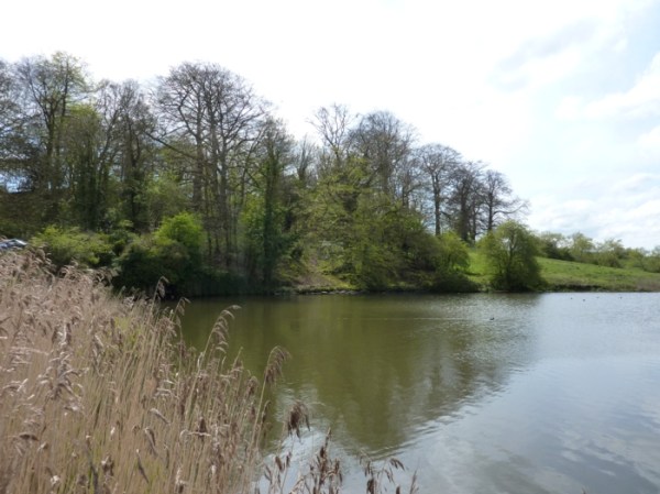 Upper Mill pond, Cuckney, Sherwood Forest