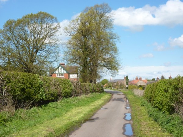 Holbeck Woodhouse, Sherwood Forest