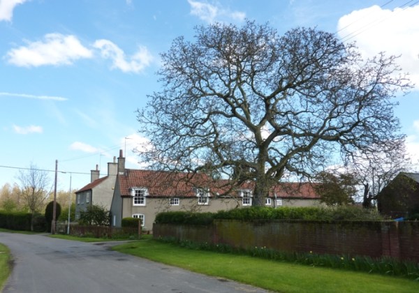 Main Street, Norton, Sherwood Forest