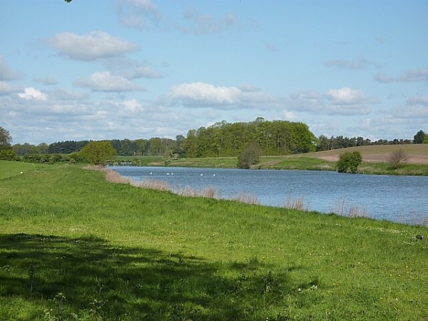 Welbeck Great Lake, Sherwood Forest