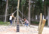 The spiders web, Sherwood Pines, Kings Clipstone, Sherwood Forest