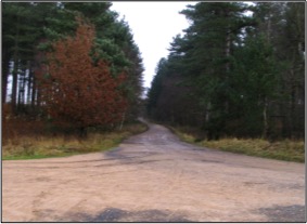 Centre Parcs bridleway