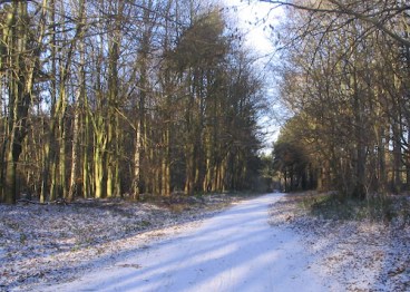 SherwoodPines2009-12A copy